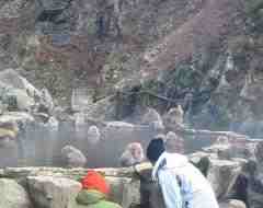 Jigokudani-Snow monkey park