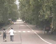 Kakunodate Old Samurai Houses and Cherry Trees